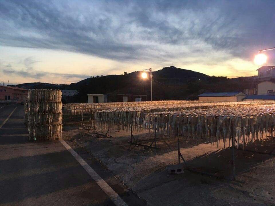 Tobang Red Clay Pension Πόχανγκ Εξωτερικό φωτογραφία